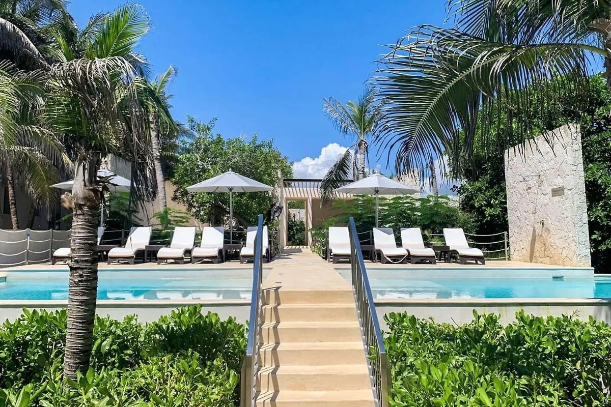 Oceanview Stay Pools Walk To Beach & Snorkel Akumal Mexico