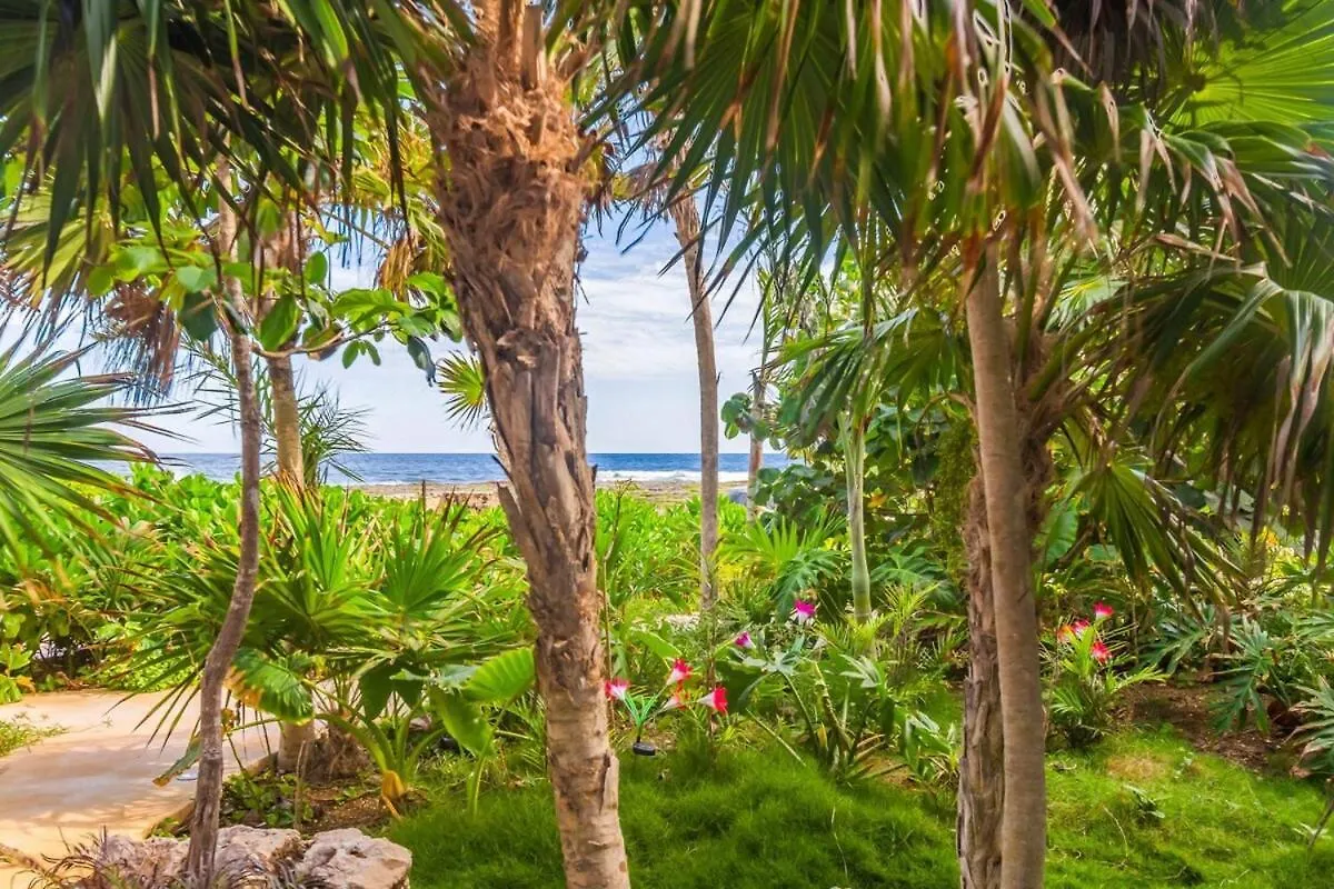 Oceanview Stay Pools Walk To Beach & Snorkel Akumal Holiday home