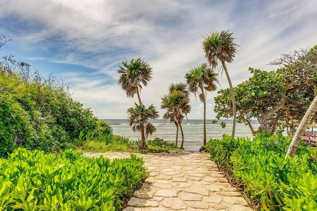 Oceanview Stay Pools Walk To Beach & Snorkel Akumal Holiday home