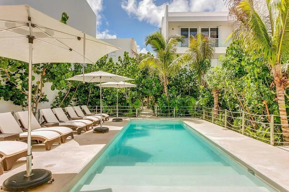 Oceanview Stay Pools Walk To Beach & Snorkel Akumal